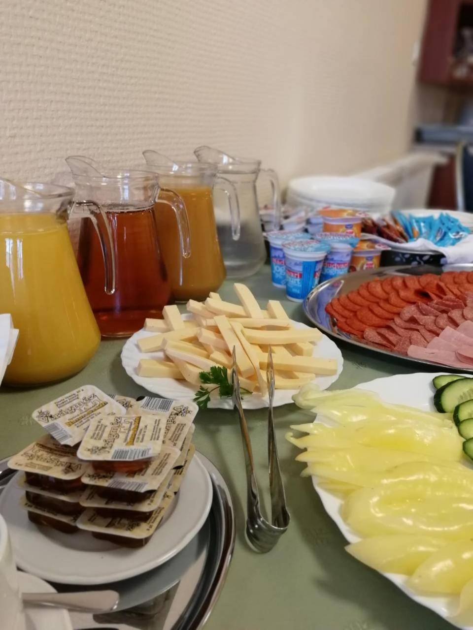 Ipari Park Panzio Hotel Szolnok Buitenkant foto